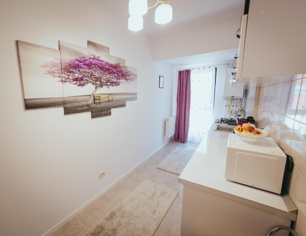 Homey Studio Tulcea Luaran gambar